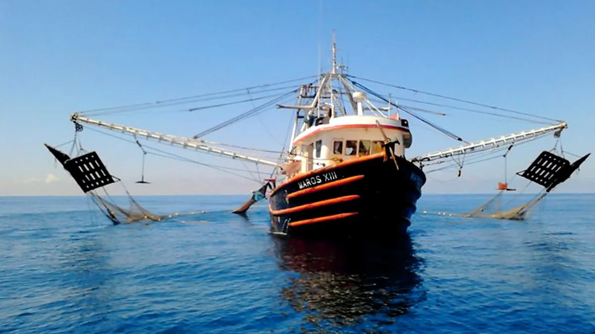 Actualizan veda para la pesca de langosta en el Pacífico mexicano y Golfo de California