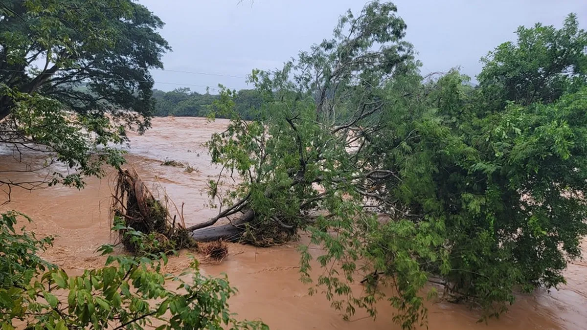 Piden retirar derrumbes en comunidades de San Luis Acatlán tras impacto de John