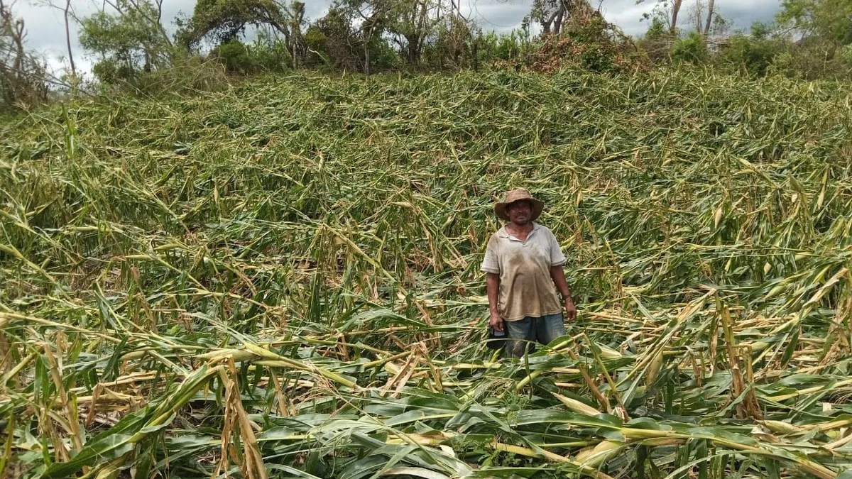 Pide Congreso de Guerrero realizar padrón de campesinos afectados por huracán John