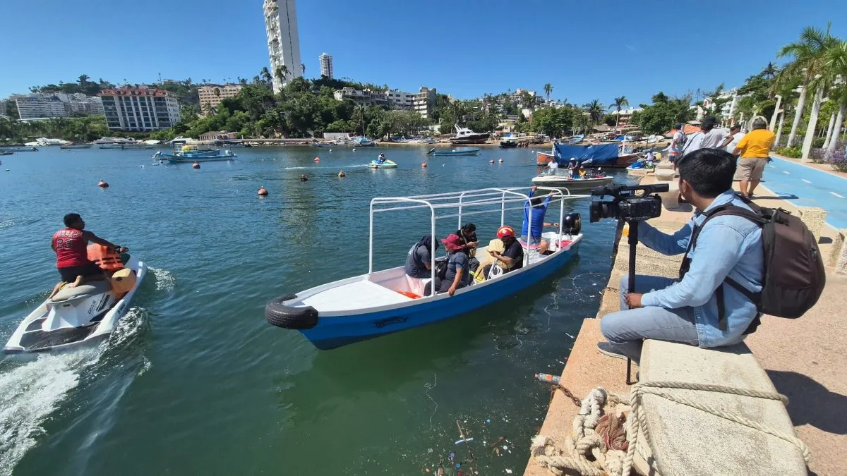 Van 10 cocodrilos capturados en playas de Acapulco; piden evitar estigmatización