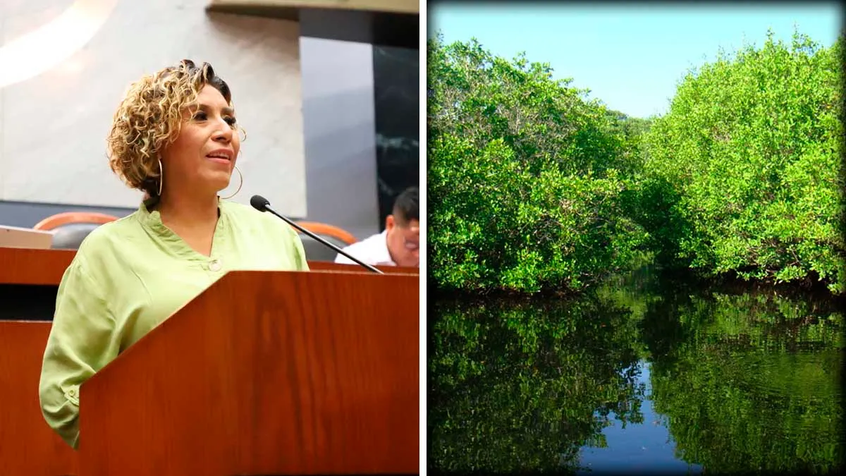 Advierte Araceli Ocampo del impacto de la urbanización de manglares en Guerrero