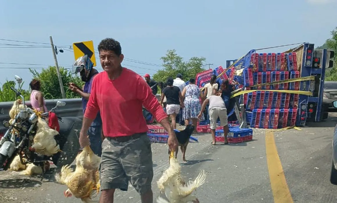 Rapiñan un camión de pollos que se volcó en Coyuca de Benítez