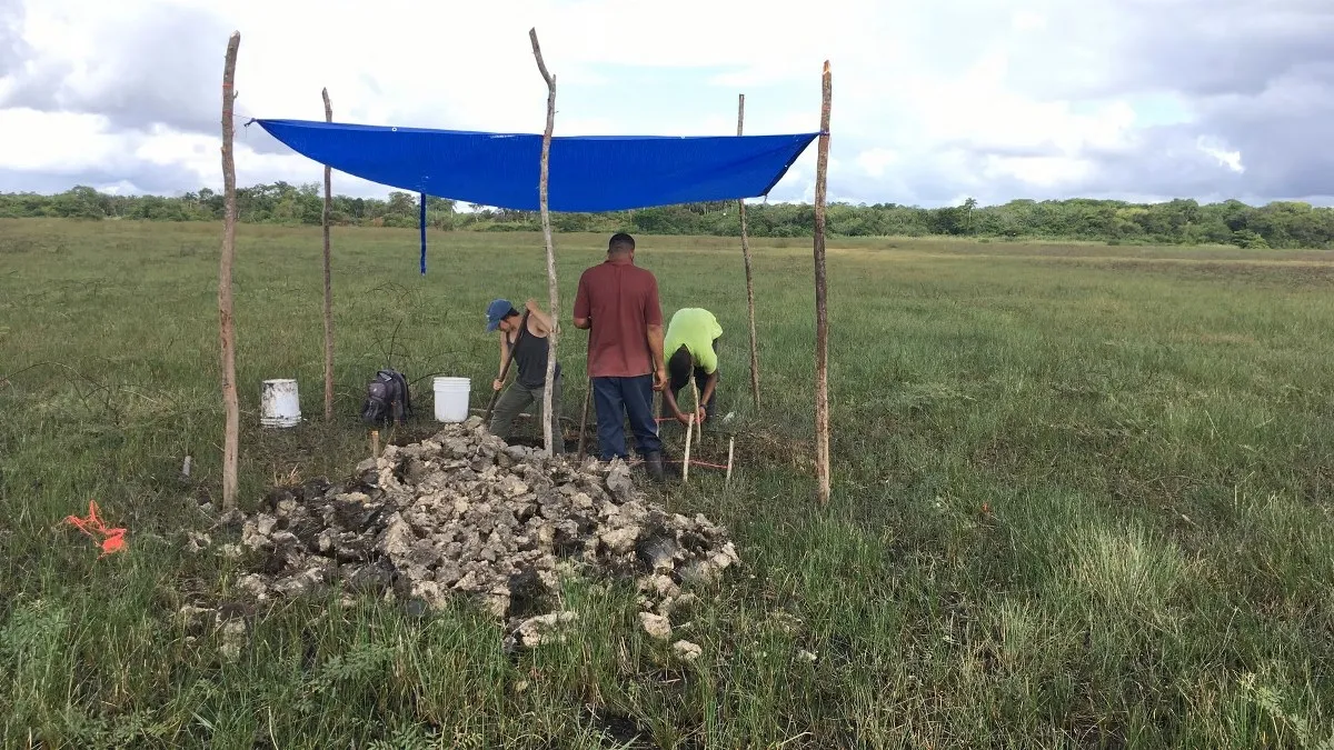 Descubren en Belice canales de pesca de 4,000 años que anteceden a los mayas