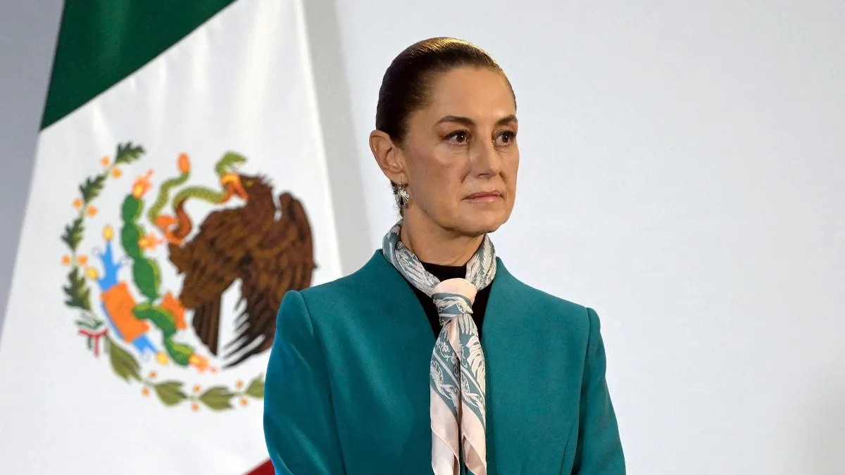 México prohibirá la siembra de maíz transgénico; en 2025 habrá nueva legislación, adelanta Sheinbaum