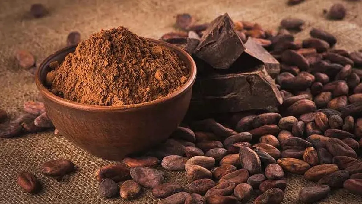 Cacao artificial, fabricantes de golosinas buscan alternativas por altos precios