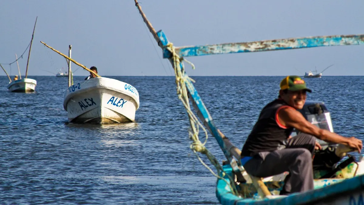 Establecen Zona de Refugio Pesquero en Yucatán para conservar especies marinas