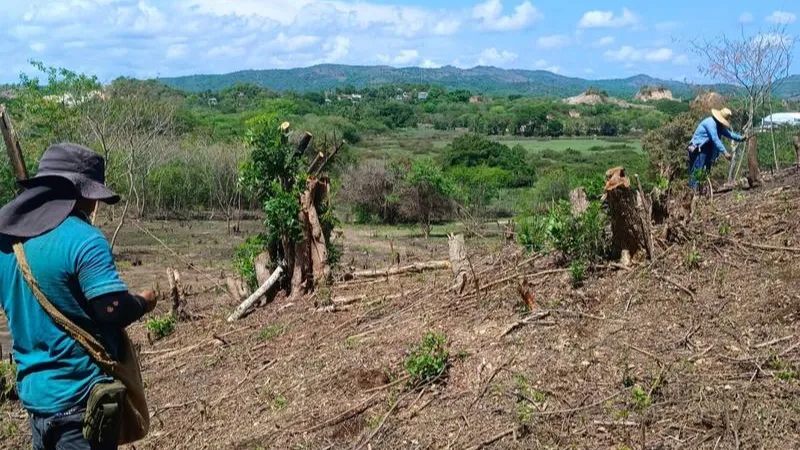 Se apoya al Acapulco rural con producción para el Bienestar: Claudia Sheinbaum