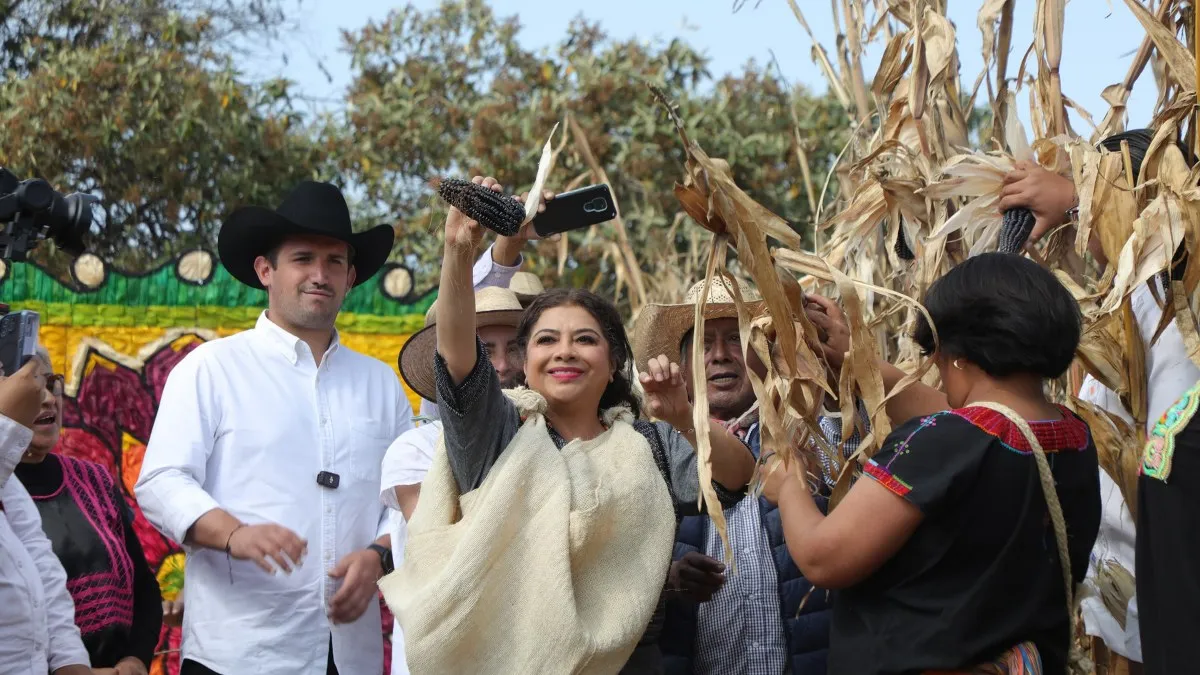 Clara Brugada declara a Ciudad de México territorio libre de maíz transgénico