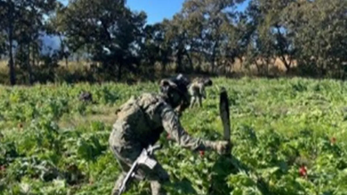 Operativos en Guerrero y otras entidades resultan en detenciones y aseguramientos