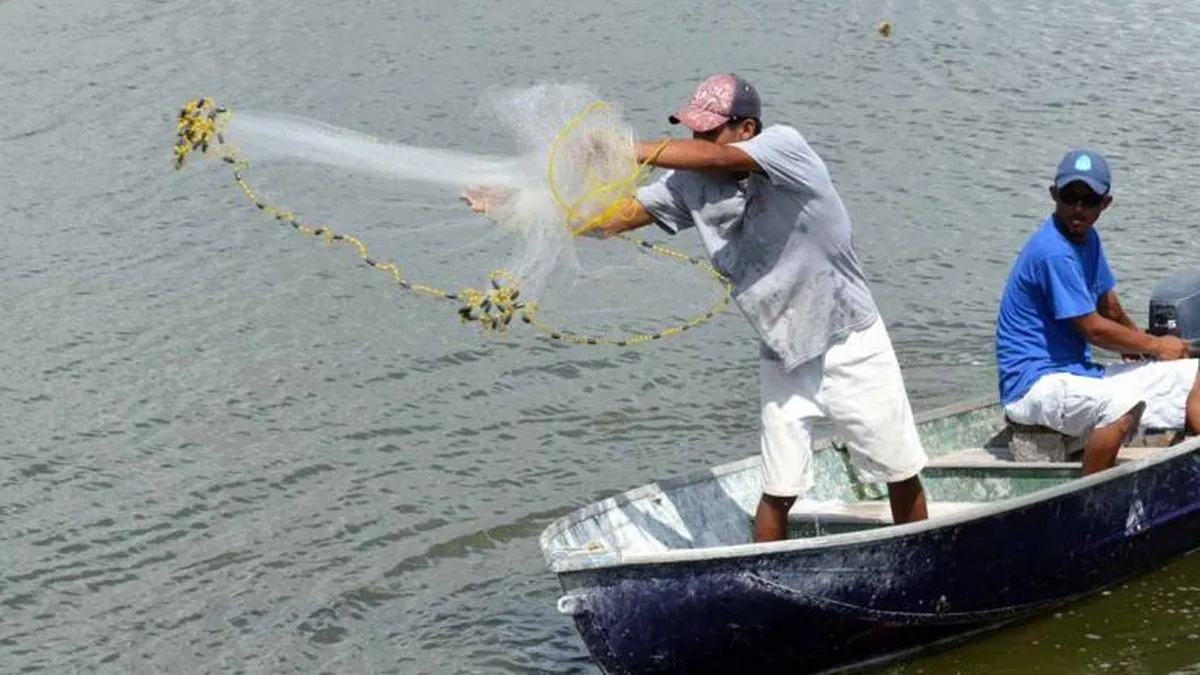 Conapesca alerta a pescadores por registros falsos del programa Bienpesca