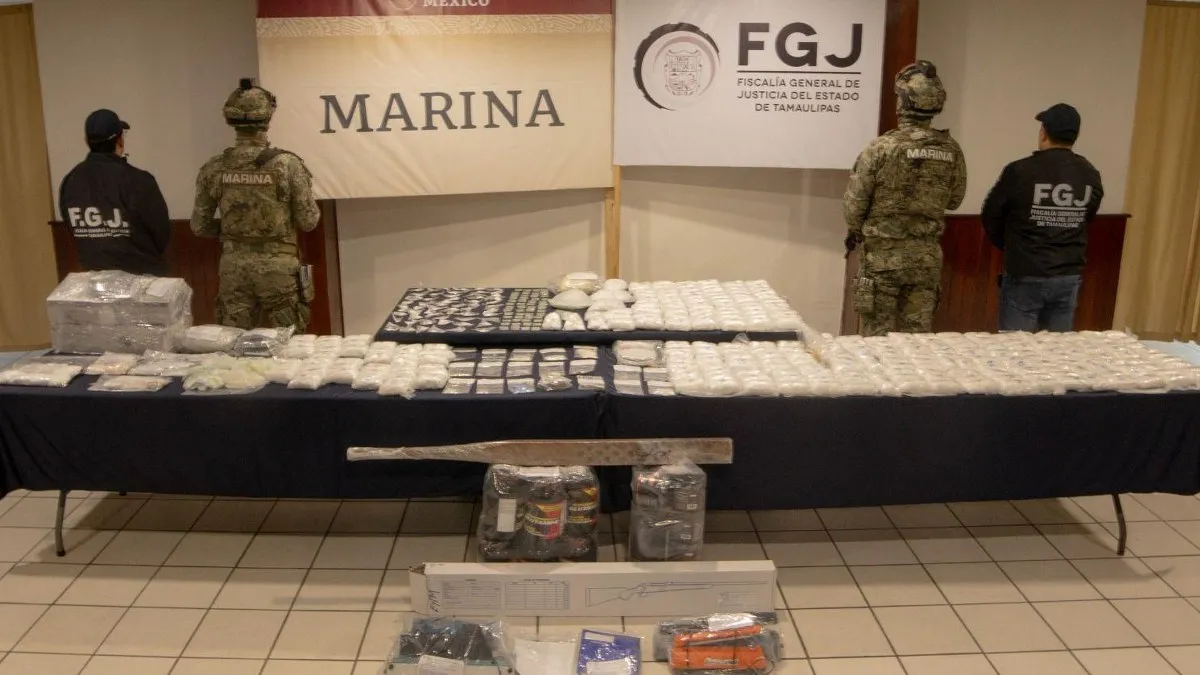 Incautan 22 mil dosis de cocaína, metanfetaminas, armas y animales exóticos, en dos cateos en Tamaulipas