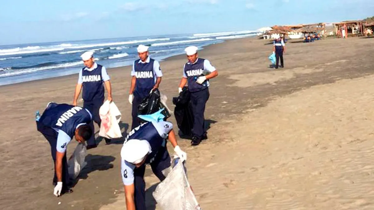 Cámara de diputados: aprueban dictamen para incluir el cuidado al medio ambiente marino en el sistema educativo naval