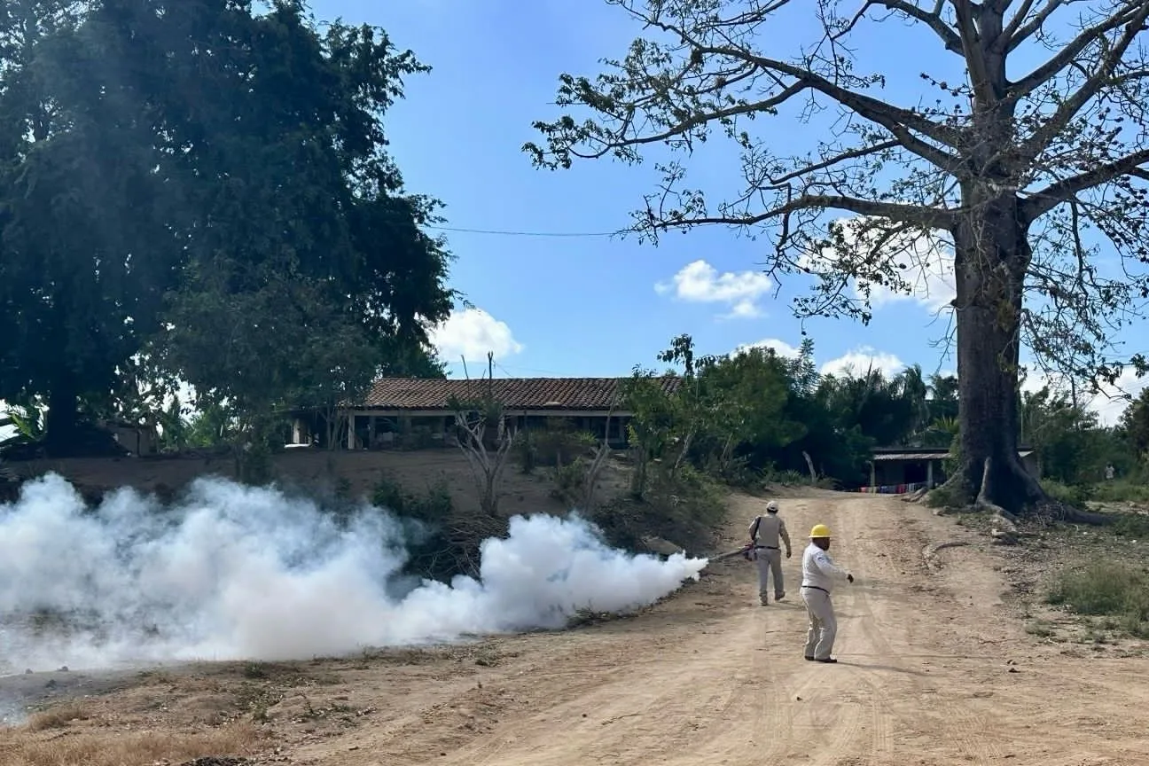 Refuerzan la fumigación en colonias de San Marcos, ante aumento de casos de dengue 